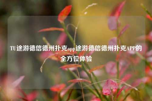 TU途游德信德州扑克app途游德信德州扑克APP的全方位体验