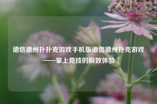 德信德州扑扑克游戏手机版德信德州扑克游戏——掌上竞技的极致体验