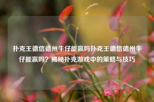 扑克王德信德州牛仔能赢吗扑克王德信德州牛仔能赢吗？揭秘扑克游戏中的策略与技巧