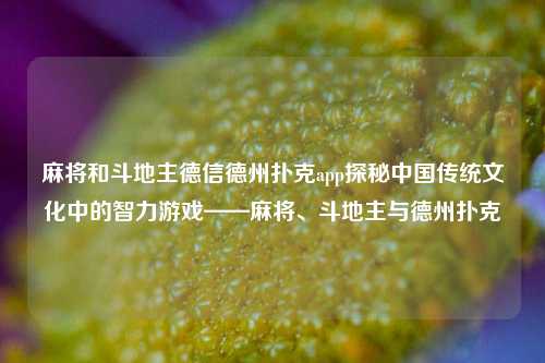 麻将和斗地主德信德州扑克app探秘中国传统文化中的智力游戏——麻将、斗地主与德州扑克
