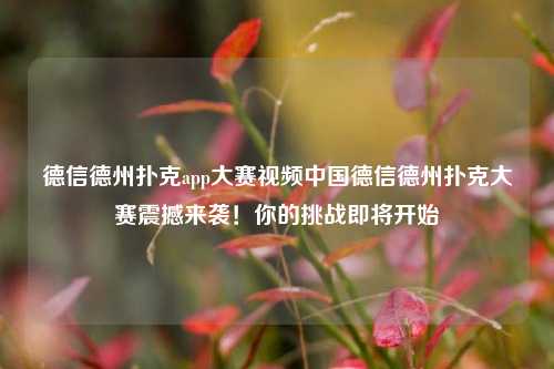 德信德州扑克app大赛视频中国德信德州扑克大赛震撼来袭！你的挑战即将开始