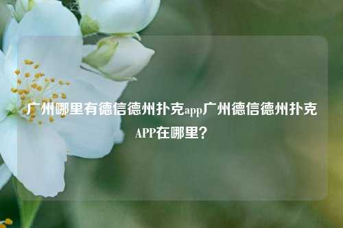 广州哪里有德信德州扑克app广州德信德州扑克APP在哪里？