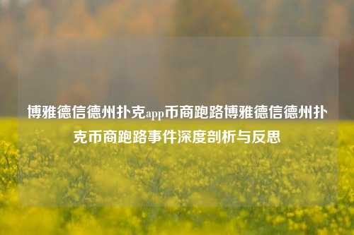 博雅德信德州扑克app币商跑路博雅德信德州扑克币商跑路事件深度剖析与反思