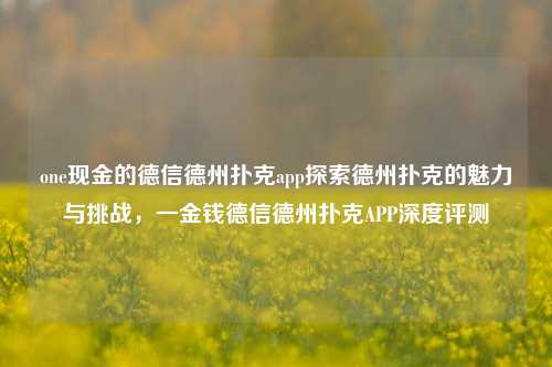 one现金的德信德州扑克app探索德州扑克的魅力与挑战，一金钱德信德州扑克APP深度评测