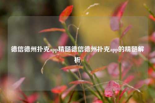 德信德州扑克app精髓德信德州扑克app的精髓解析