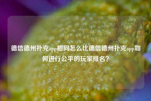 德信德州扑克app相同怎么比德信德州扑克app如何进行公平的玩家排名？