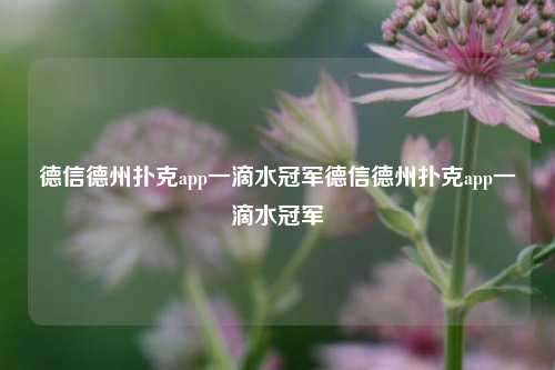 德信德州扑克app一滴水冠军德信德州扑克app一滴水冠军