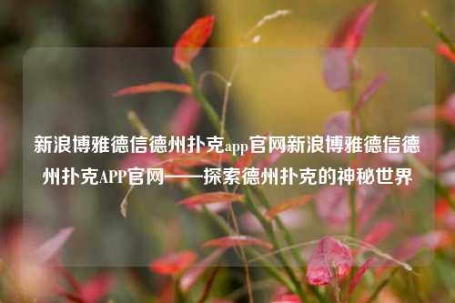 新浪博雅德信德州扑克app官网新浪博雅德信德州扑克APP官网——探索德州扑克的神秘世界