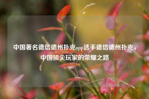 中国著名德信德州扑克app选手德信德州扑克，中国顶尖玩家的荣耀之路