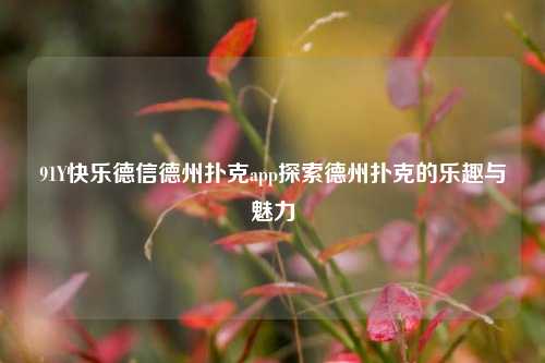 91Y快乐德信德州扑克app探索德州扑克的乐趣与魅力