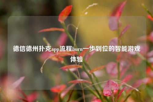 德信德州扑克app流程burn一步到位的智能游戏体验