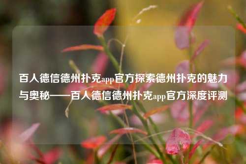 百人德信德州扑克app官方探索德州扑克的魅力与奥秘——百人德信德州扑克app官方深度评测