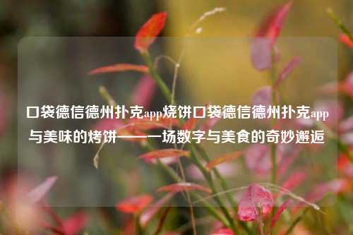 口袋德信德州扑克app烧饼口袋德信德州扑克app与美味的烤饼——一场数字与美食的奇妙邂逅