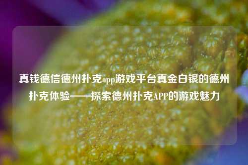 真钱德信德州扑克app游戏平台真金白银的德州扑克体验——探索德州扑克APP的游戏魅力