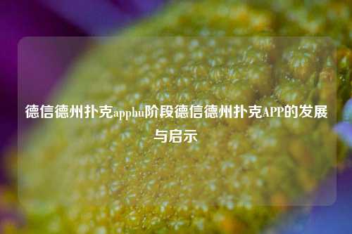 德信德州扑克apphu阶段德信德州扑克APP的发展与启示