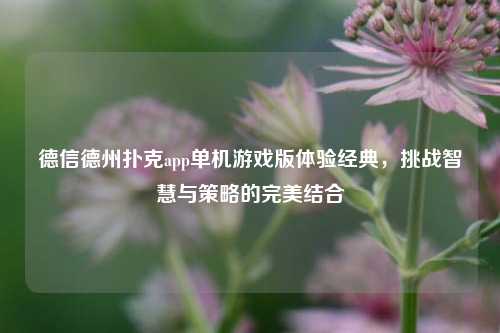 德信德州扑克app单机游戏版体验经典，挑战智慧与策略的完美结合
