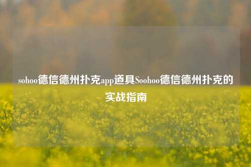 sohoo德信德州扑克app道具Soohoo德信德州扑克的实战指南
