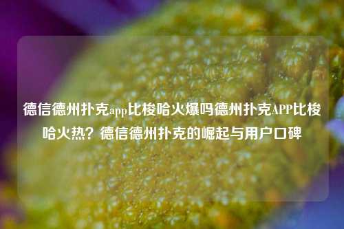 德信德州扑克app比梭哈火爆吗德州扑克APP比梭哈火热？德信德州扑克的崛起与用户口碑