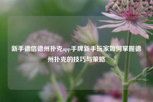 新手德信德州扑克app手牌新手玩家如何掌握德州扑克的技巧与策略