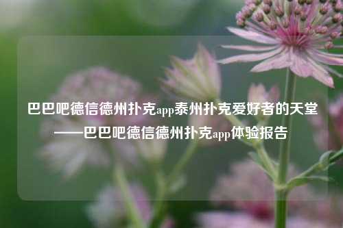 巴巴吧德信德州扑克app泰州扑克爱好者的天堂——巴巴吧德信德州扑克app体验报告