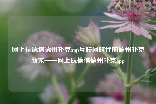 网上玩德信德州扑克app互联网时代的德州扑克新宠——网上玩德信德州扑克app