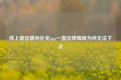 线上德信德州扑克app一直没牌揭秘为何无法下注