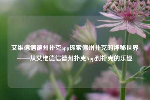 艾维德信德州扑克app探索德州扑克的神秘世界——从艾维德信德州扑克App到扑克的乐趣