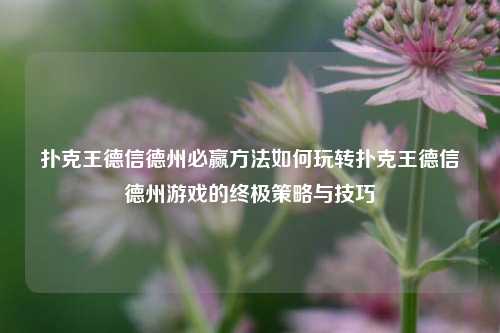 扑克王德信德州必赢方法如何玩转扑克王德信德州游戏的终极策略与技巧
