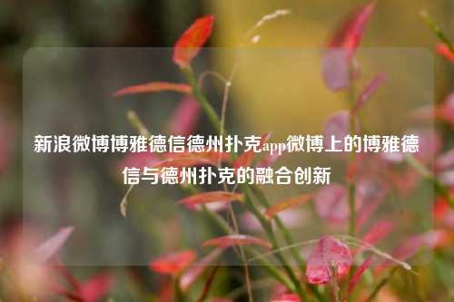 新浪微博博雅德信德州扑克app微博上的博雅德信与德州扑克的融合创新