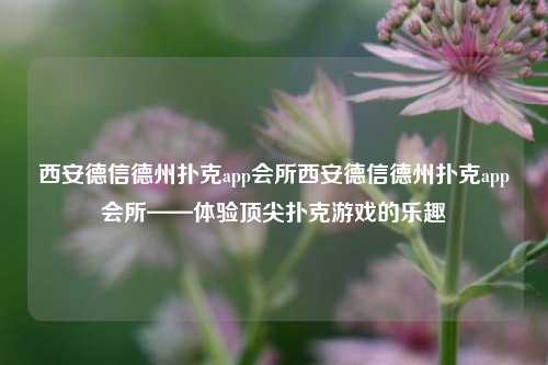 西安德信德州扑克app会所西安德信德州扑克app会所——体验顶尖扑克游戏的乐趣