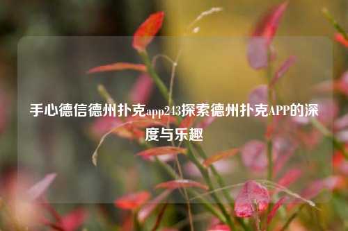 手心德信德州扑克app243探索德州扑克APP的深度与乐趣