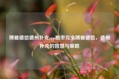 博雅德信德州扑克app概率完全博雅德信，德州扑克的智慧与策略