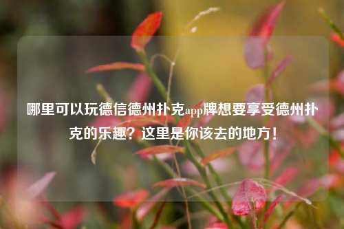 哪里可以玩德信德州扑克app牌想要享受德州扑克的乐趣？这里是你该去的地方！