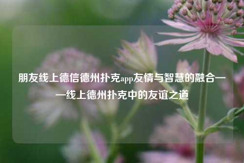 朋友线上德信德州扑克app友情与智慧的融合——线上德州扑克中的友谊之道