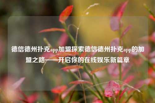 德信德州扑克app加盟探索德信德州扑克app的加盟之路——开启你的在线娱乐新篇章
