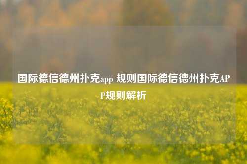 国际德信德州扑克app 规则国际德信德州扑克APP规则解析