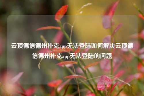 云顶德信德州扑克app无法登陆如何解决云顶德信德州扑克app无法登陆的问题