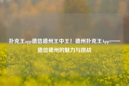 扑克王app德信德州王中王！德州扑克王App——德信德州的魅力与挑战
