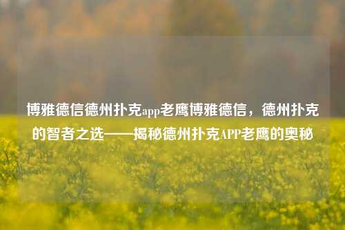 博雅德信德州扑克app老鹰博雅德信，德州扑克的智者之选——揭秘德州扑克APP老鹰的奥秘