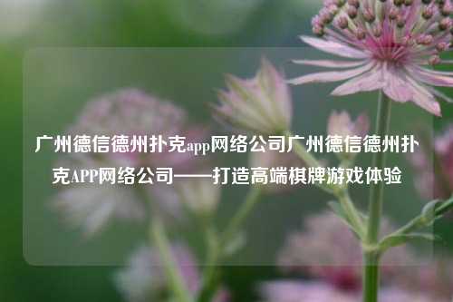 广州德信德州扑克app网络公司广州德信德州扑克APP网络公司——打造高端棋牌游戏体验