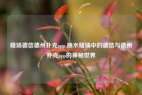赌场德信德州扑克app 抽水赌场中的德信与德州扑克app的神秘世界