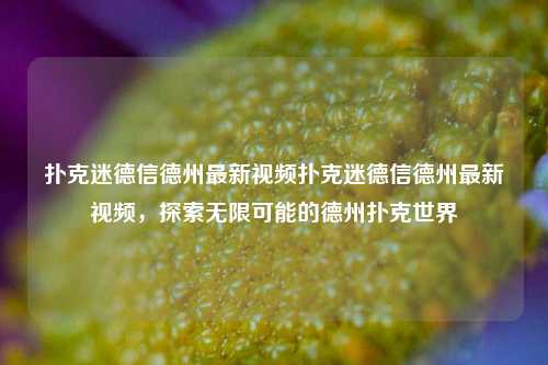 扑克迷德信德州最新视频扑克迷德信德州最新视频，探索无限可能的德州扑克世界