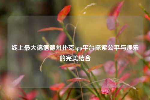 线上最大德信德州扑克app平台探索公平与娱乐的完美结合