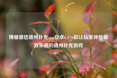 博雅德信德州扑克app安卓6.3一款让玩家体验极致乐趣的德州扑克游戏