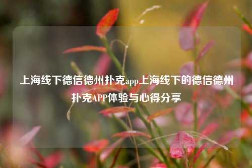上海线下德信德州扑克app上海线下的德信德州扑克APP体验与心得分享