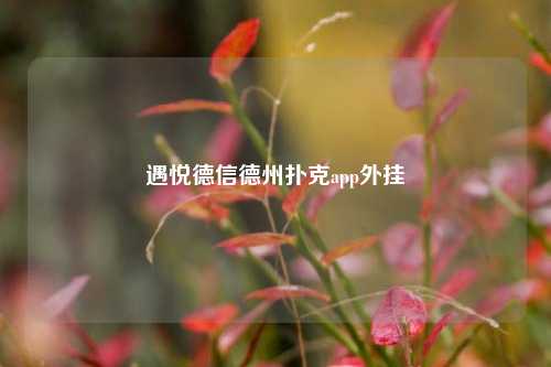 遇悦德信德州扑克app外挂