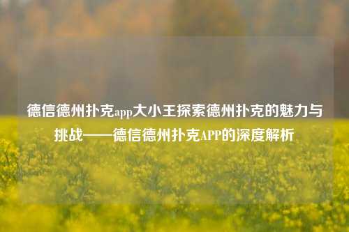 德信德州扑克app大小王探索德州扑克的魅力与挑战——德信德州扑克APP的深度解析