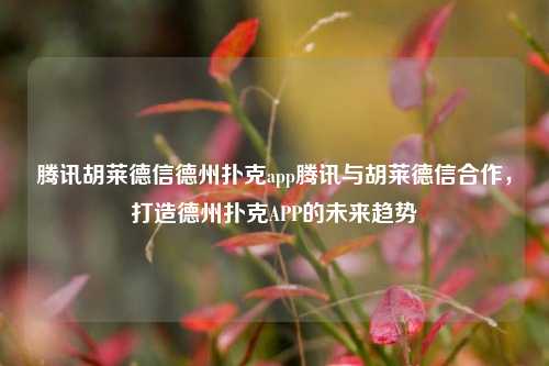 腾讯胡莱德信德州扑克app腾讯与胡莱德信合作，打造德州扑克APP的未来趋势