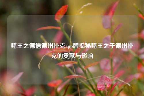 赌王之德信德州扑克app牌揭秘赌王之于德州扑克的贡献与影响