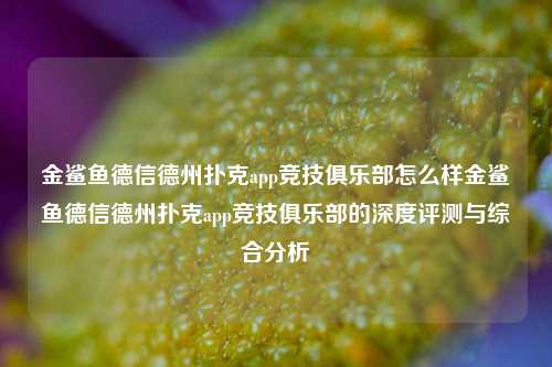 金鲨鱼德信德州扑克app竞技俱乐部怎么样金鲨鱼德信德州扑克app竞技俱乐部的深度评测与综合分析
